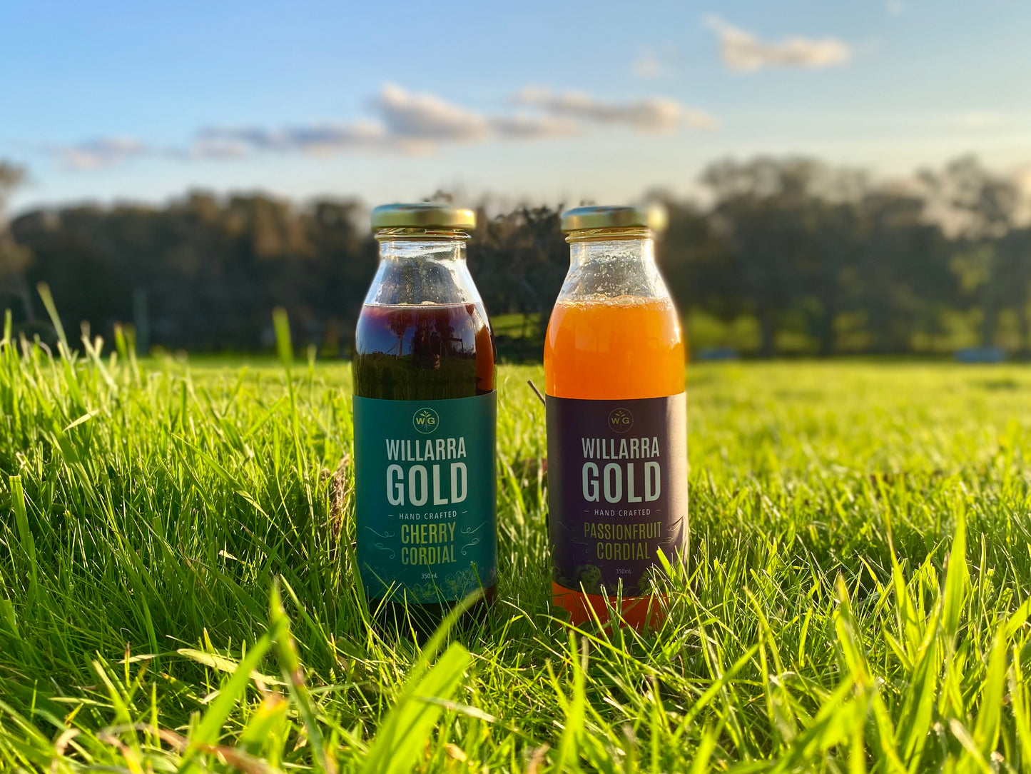Cordial Mixed 16 carton