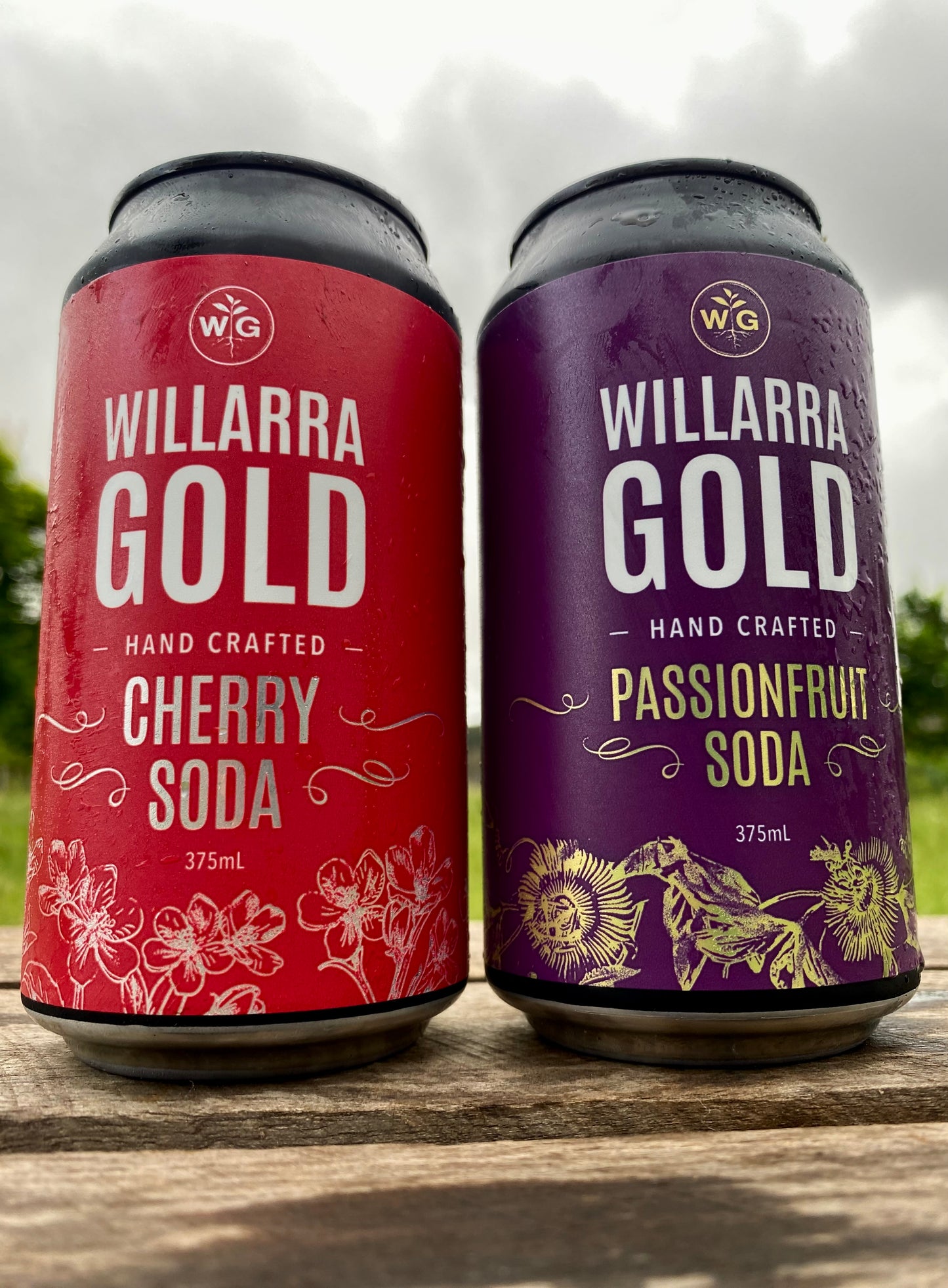 Mixed Carton Sodas